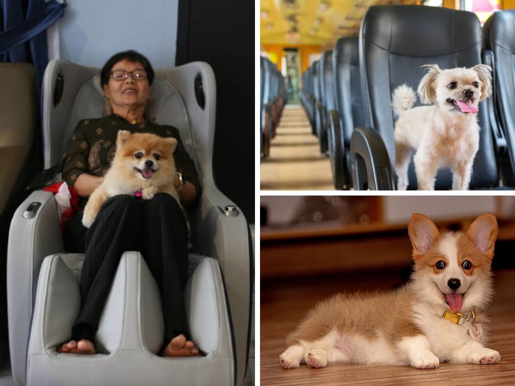 Nhà có vật nuôi
